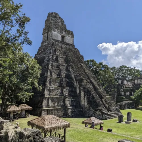 Maya