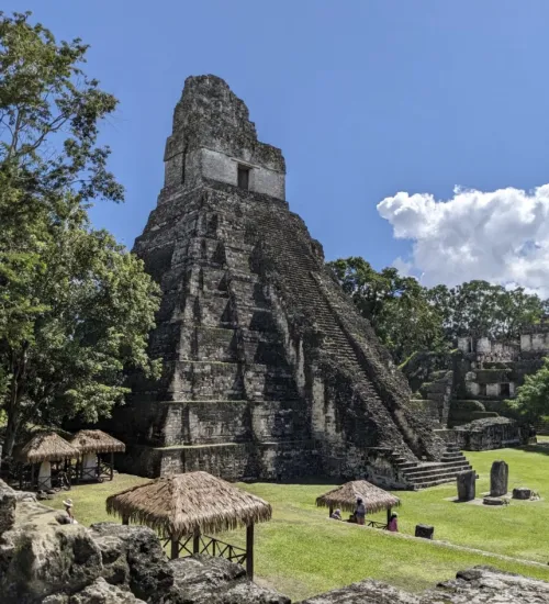 Maya